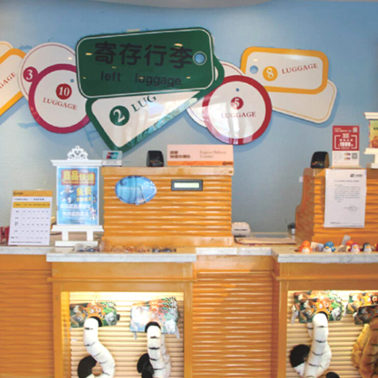 Package Express: Where Seamless Convenience Meets Eco-Conscious Travel