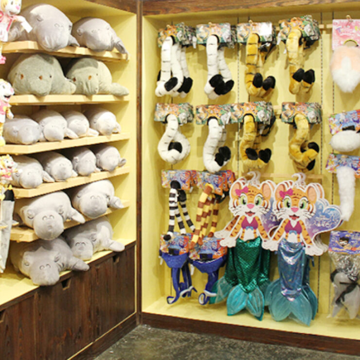 Rainforest Outpost: Where Jungle Discovery Meets Eco-Conscious Treasures