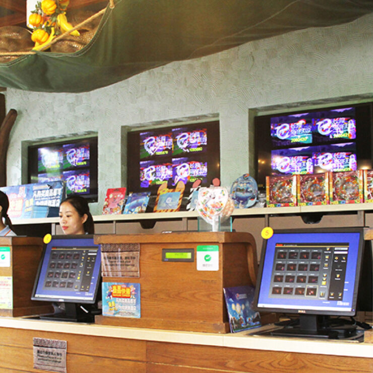 Rainforest Soaring: Where Jungle Adventure Meets Conservation Elegance