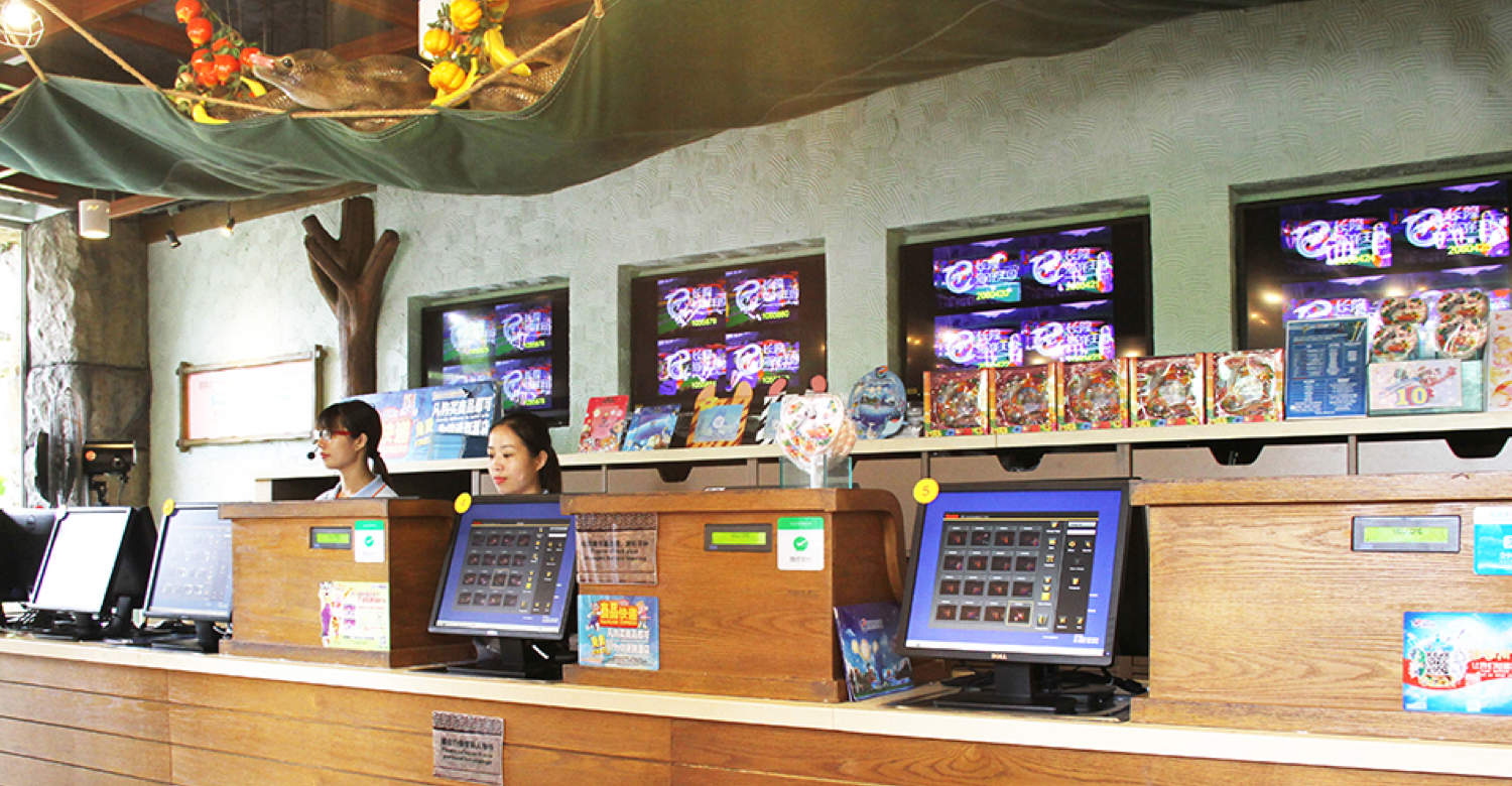 Rainforest Soaring: Where Jungle Adventure Meets Conservation Elegance