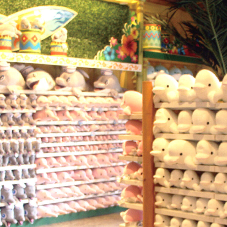 Dolphin’s Villa: Where Gentle Giants Inspire Timeless Souvenirs