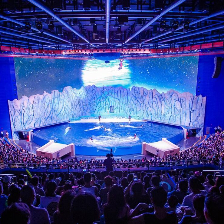 Beluga Theatre: Where Arctic Elegance Meets Conservation Storytelling