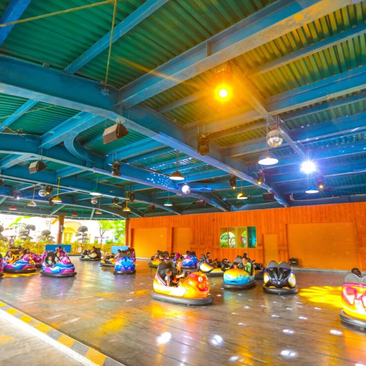 Bumper Smash: Where Oceanic Play Becomes Conservation Momentum