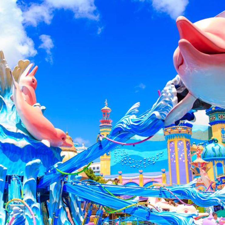 Dolphin Round Ride: An Intimate Marine Encounter