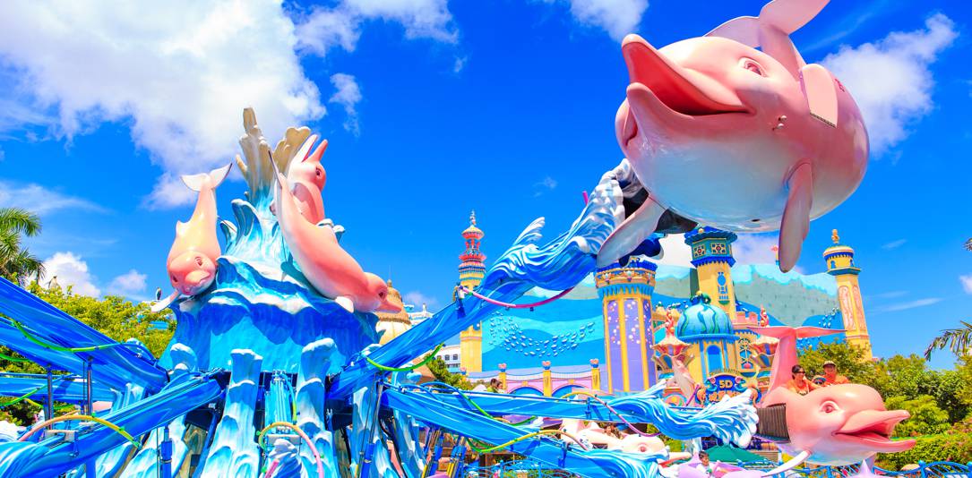 Dolphin Round Ride: An Intimate Marine Encounter