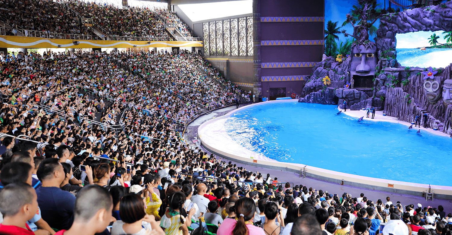 Dolphin Theater: Where Grace Meets Harmony