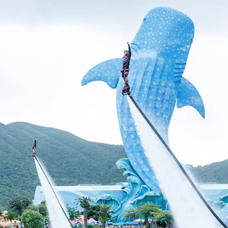 Flybord Spectacular: Where Human Flight Meets Oceanic Wonder