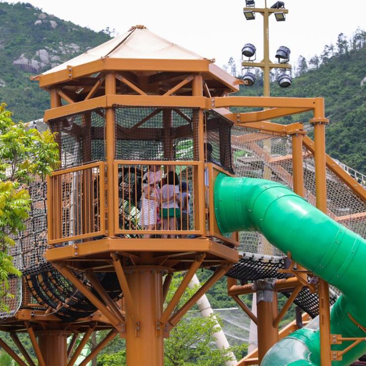 Jungle Climb: Where Rainforest Adventure Becomes a Conservation Catalyst