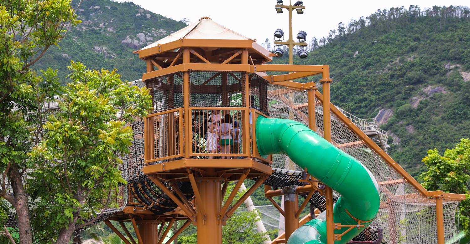 Jungle Climb: Where Rainforest Adventure Becomes a Conservation Catalyst