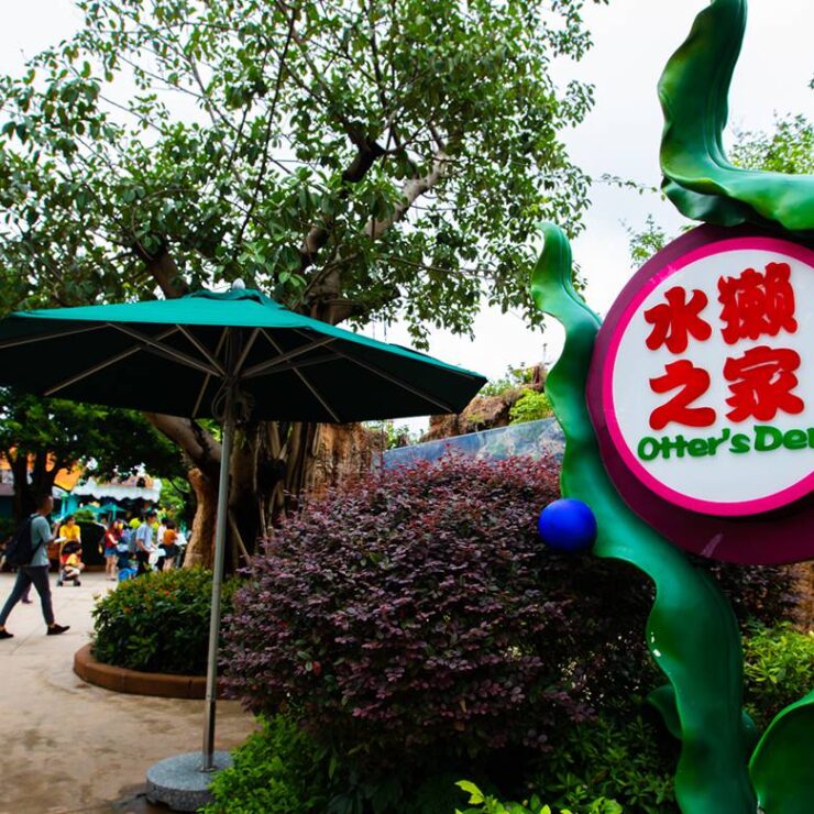 Otter’s Den: Where Playful Conservation Becomes a Living Legacy