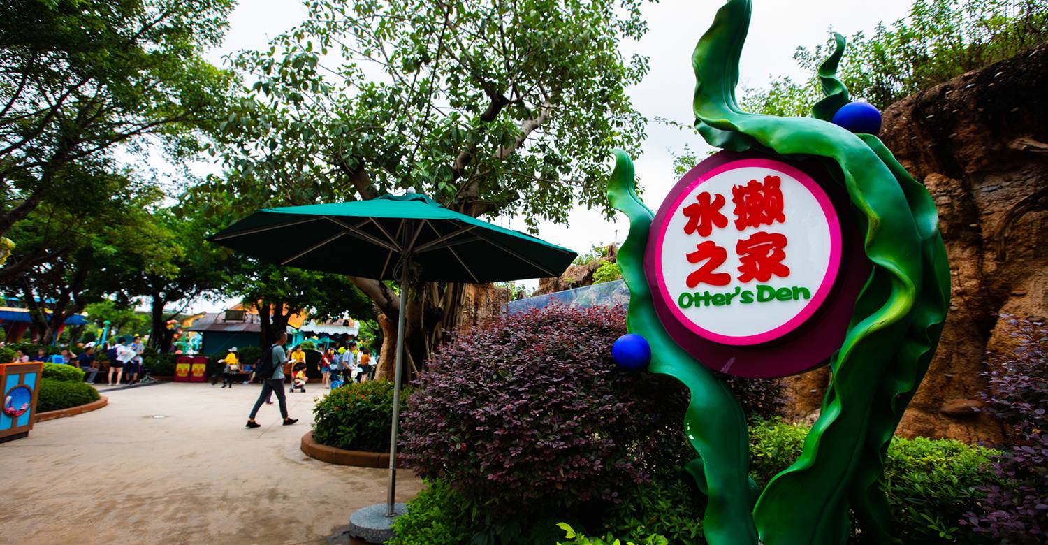 Otter’s Den: Where Playful Conservation Becomes a Living Legacy