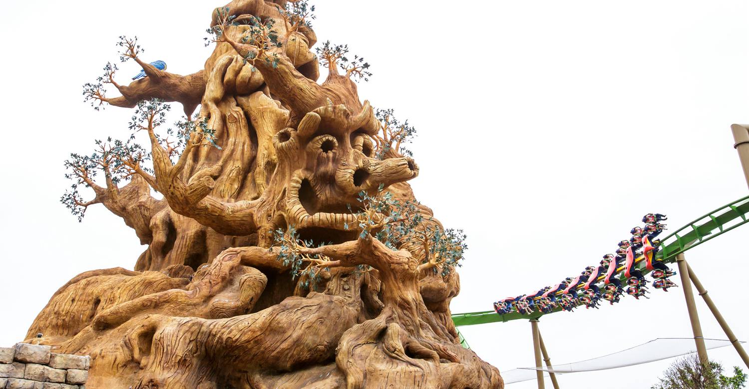 Parrot Coaster: Where Jungle Thrills Meet Conservation Momentum ...