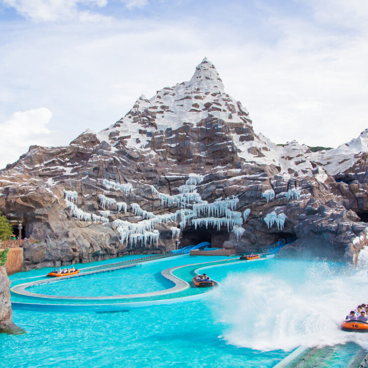 Polar Explorer: Where Arctic Science Becomes a Living Conservation Adventure