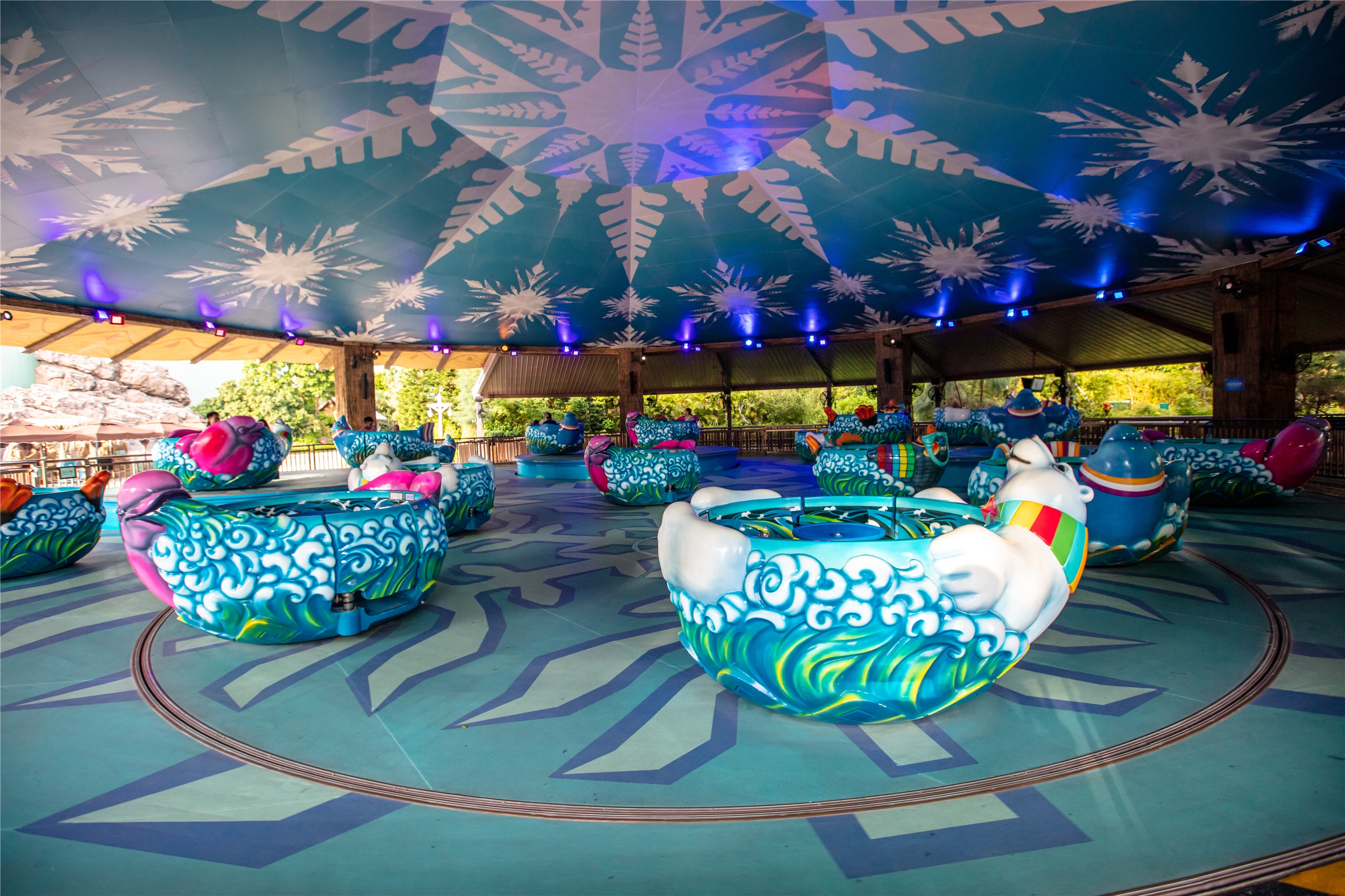 Polar-go-round: Where Arctic Whimsy Meets Conservation Momentum