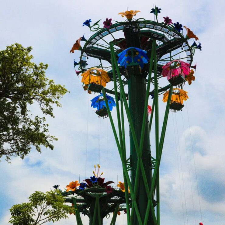 Rainforest Drop Tower: Where Free-Fall Thrills Meet Conservation Momentum