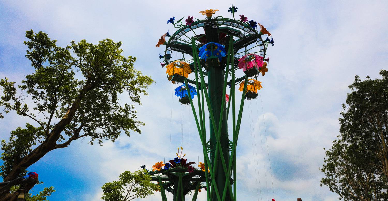 Rainforest Drop Tower: Where Free-Fall Thrills Meet Conservation Momentum