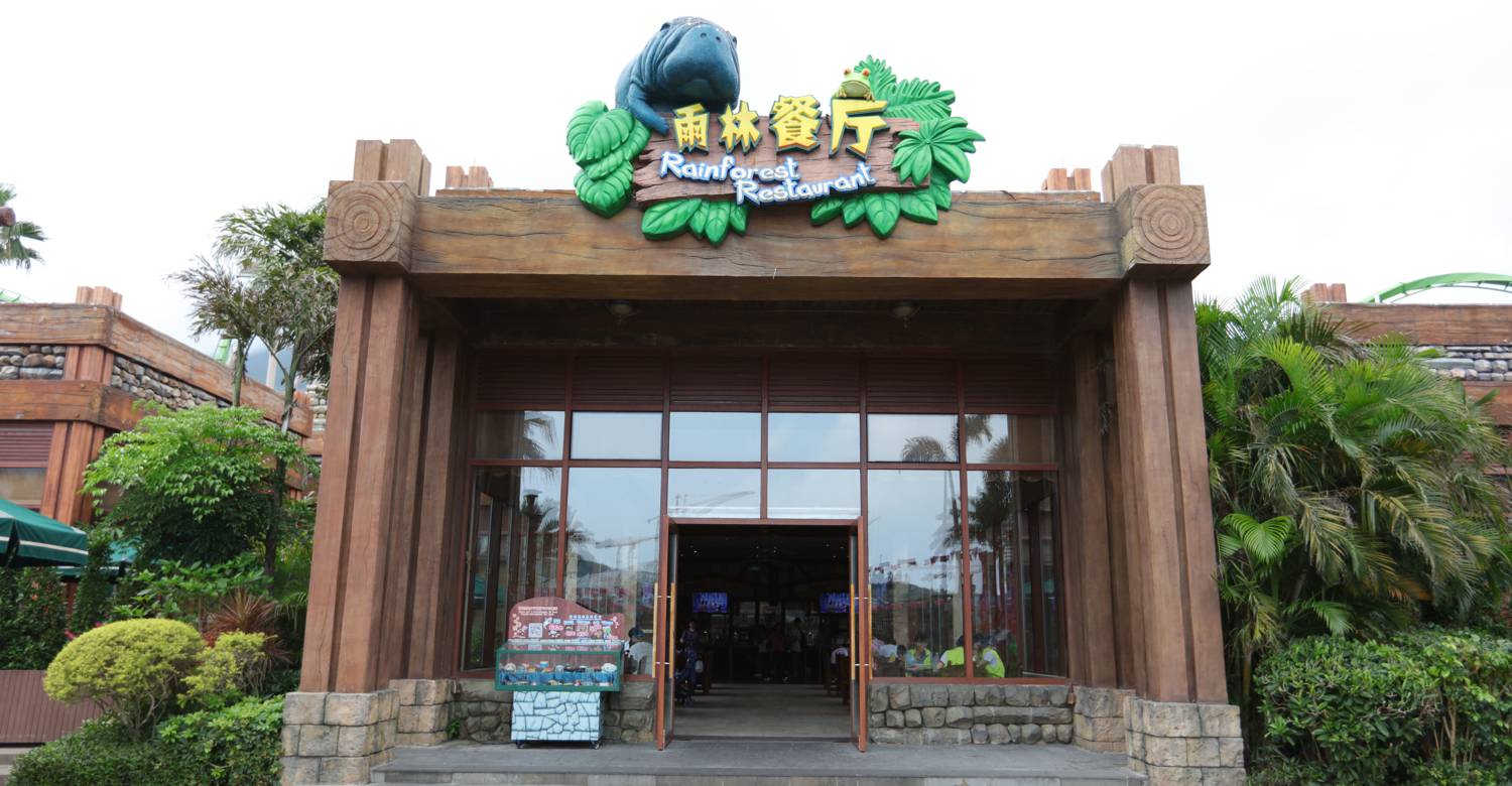 Rainforest Restaurant: An Immersive Dining Adventure in the Heart of the Amazon