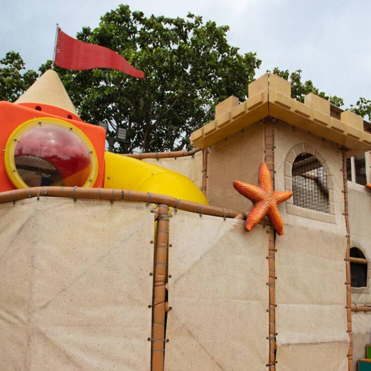 Sand Castle: Where Coastal Play Becomes a Conservation Legacy