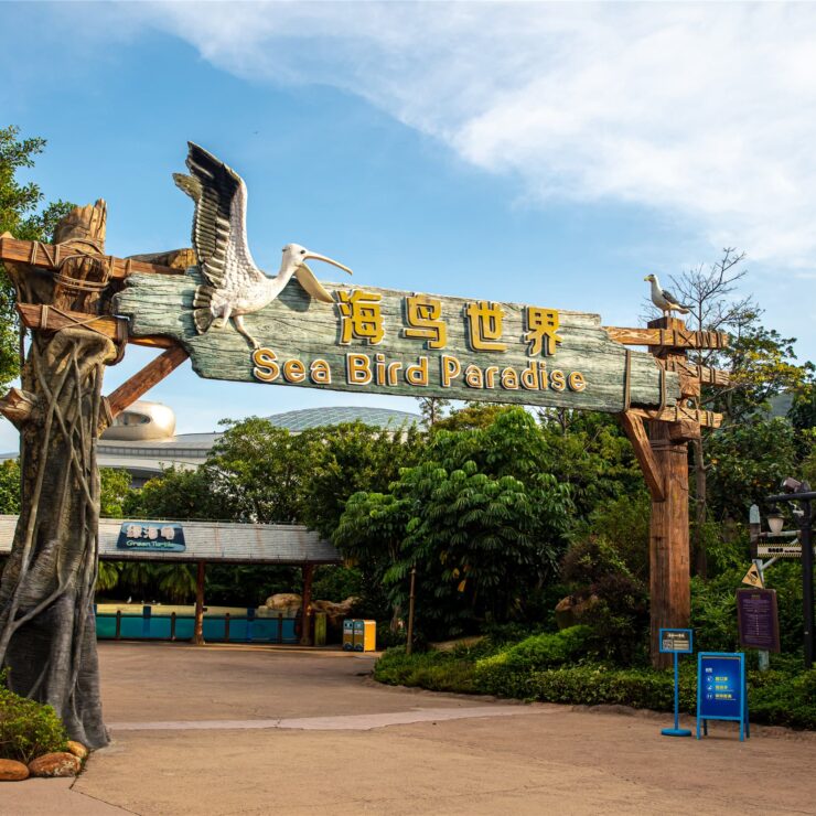 Sea Bird Paradise: Where Avian Wonders Inspire Oceanic Stewardship