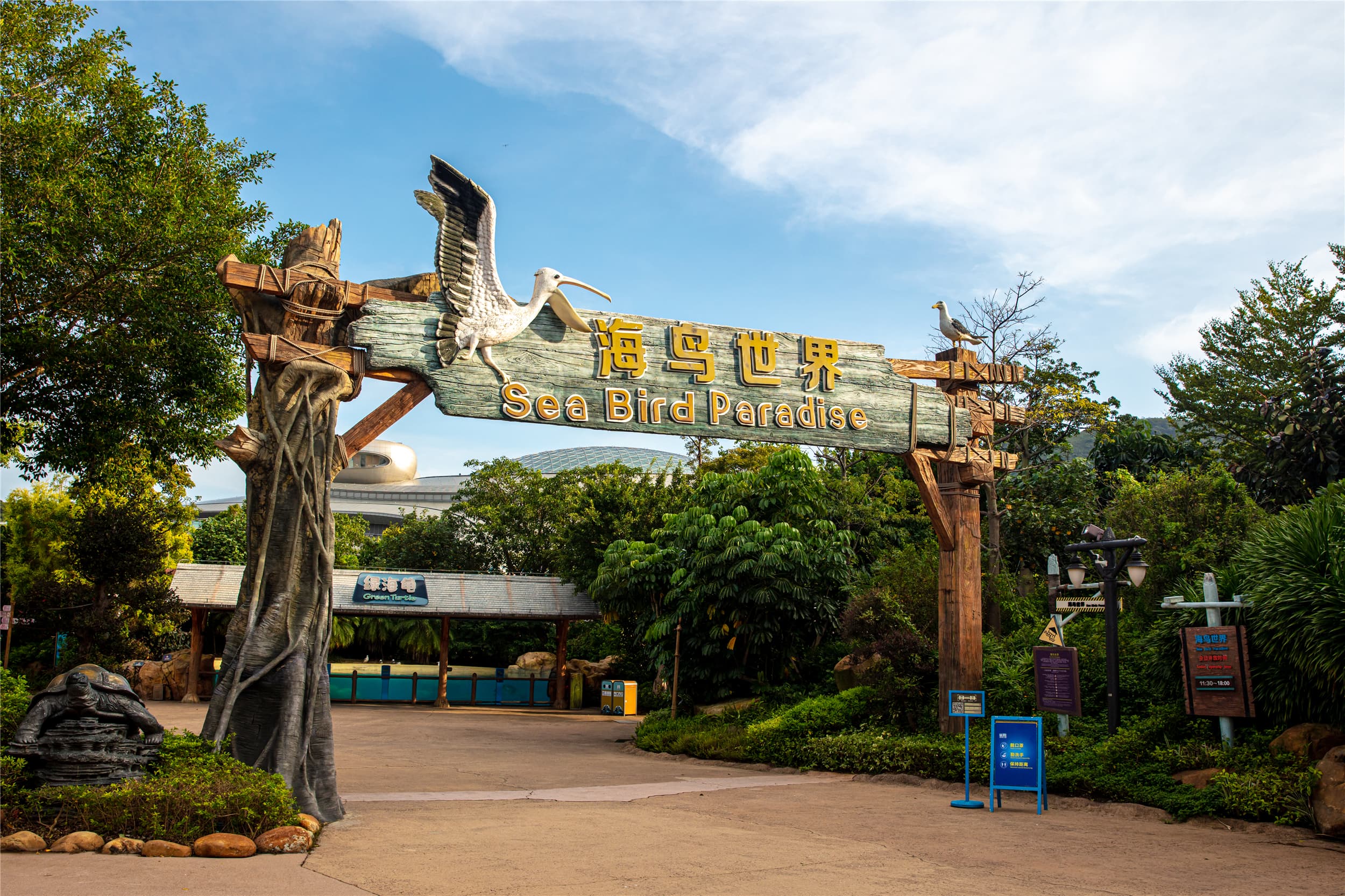 Sea Bird Paradise: Where Avian Wonders Inspire Oceanic Stewardship