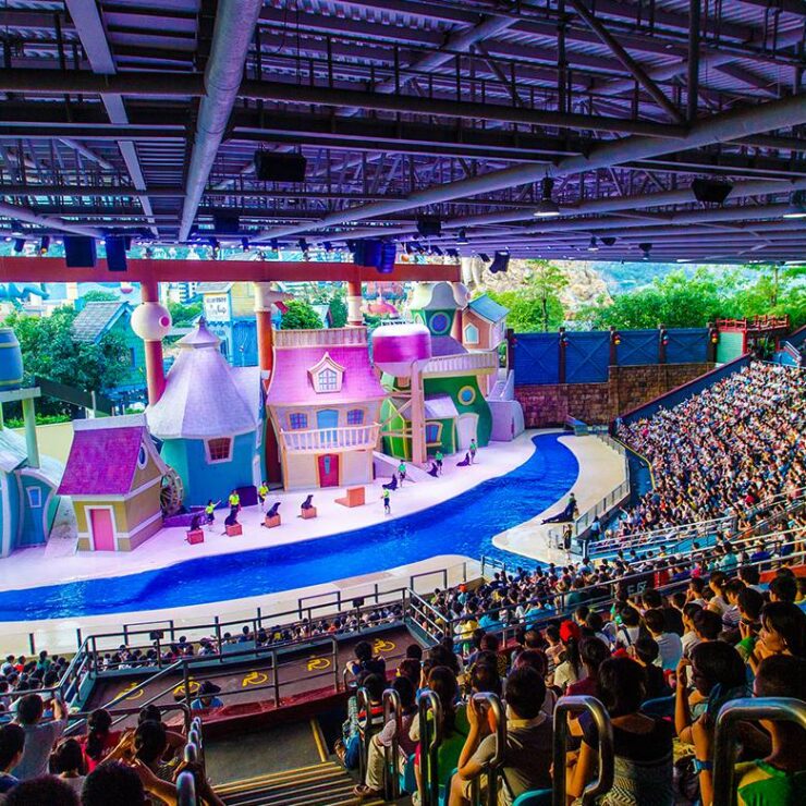 Sea Lion Theatre: Where Playful Precision Meets Ocean Conservation