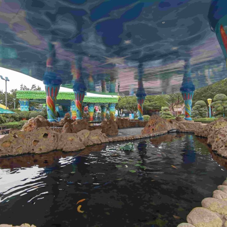 Tide Pools: Where Ocean Connection Becomes Tangible Conservation