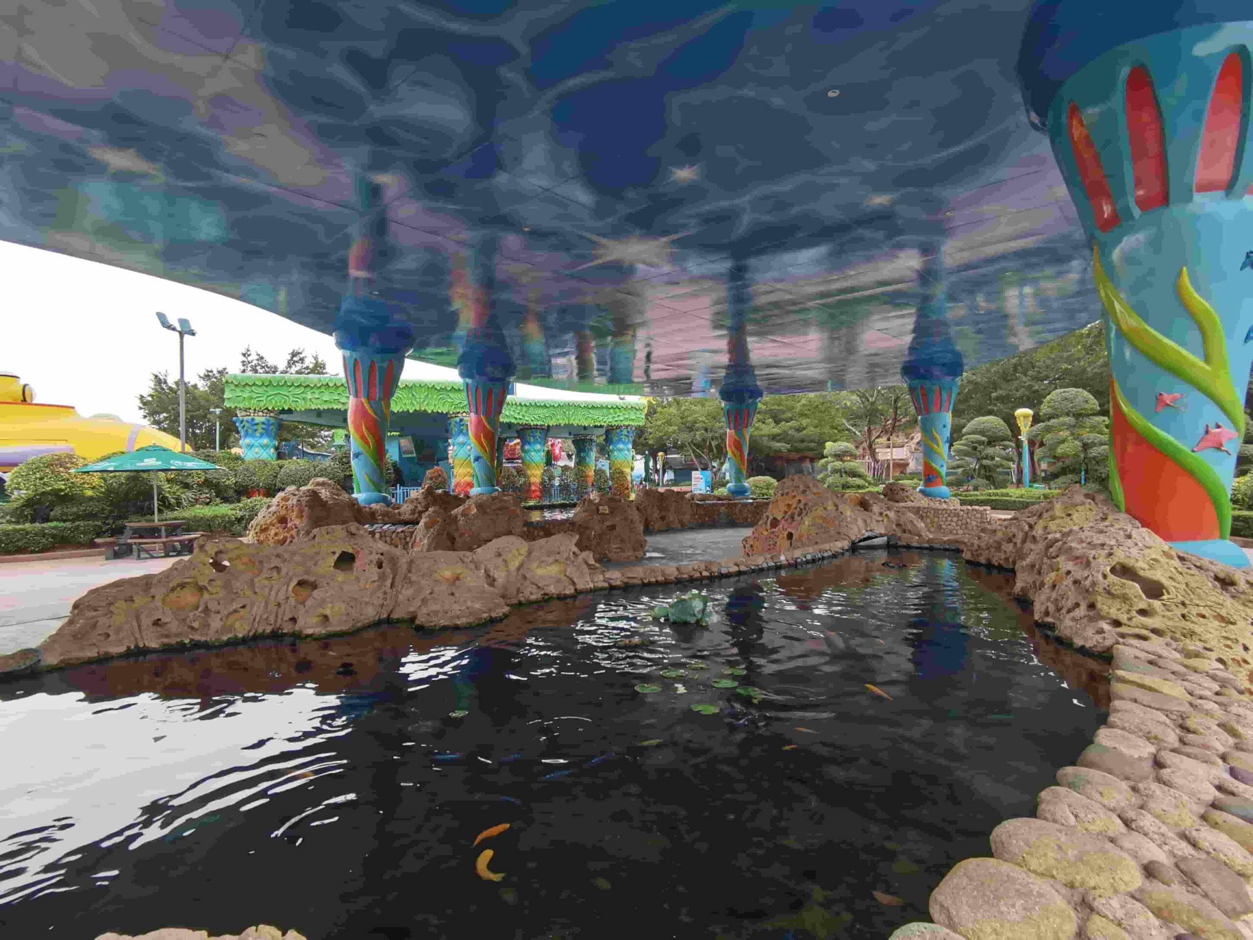 Tide Pools: Where Ocean Connection Becomes Tangible Conservation