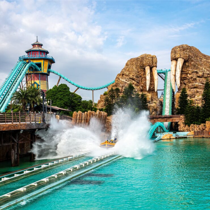 Walrus Splash: Where Arctic Play Becomes a Conservation Catalyst